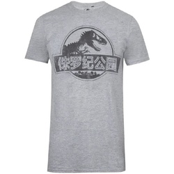 Vêtements Homme T-shirts manches longues Jurassic Park TV1699 Gris