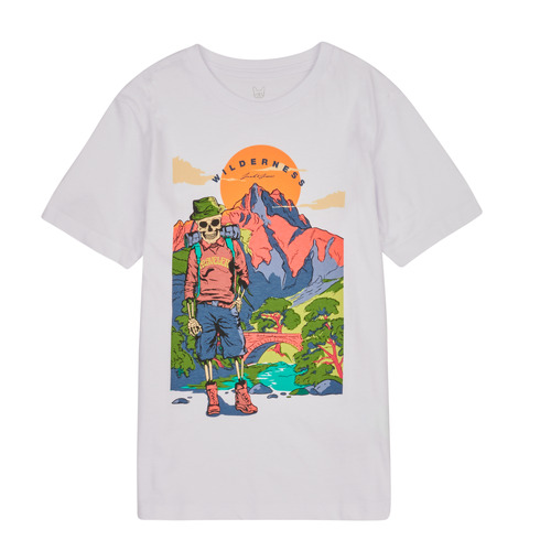 Vêtements Garçon T-shirts manches courtes adidas art bb6388 black bear mountain view cabin JJHIKER TEE SS CREW NECK JNR Blanc