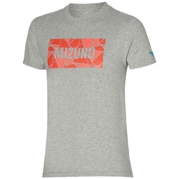 Vêtements Homme T-shirts manches courtes Mizuno branco Athletic Tee Gris
