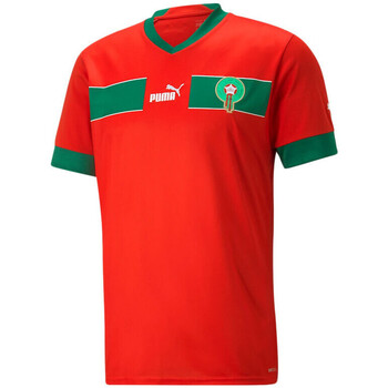 Vêtements Homme T-shirts & Polos Puma Home du Maroc 22/23 Replica Rouge