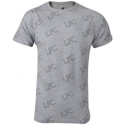 Vêtements Homme T-shirts manches longues Liverpool Fc BS3299 Gris