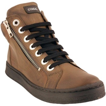 Chaussures Femme Baskets basses Chacal 6147 F Kaki