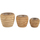 Maison & Déco Vases / caches pots d'intérieur Jolipa Cache pot en bois naturel Beige