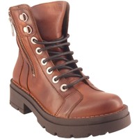 Chaussures Femme Boots Chacal 6083 F Marron