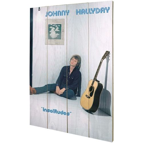 Maison & Déco Tableaux / toiles Impact Et Stratégie Plaque décorative Insolitudes en bois Johnny Hallyday Multicolore