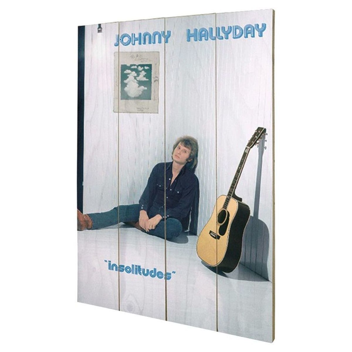 Maison & Déco Tableaux / toiles Impact Et Stratégie Plaque décorative Insolitudes en bois Johnny Hallyday Multicolore