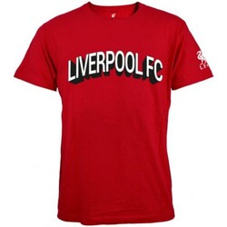Vêtements Homme T-shirts manches longues Liverpool Fc BS3296 Rouge