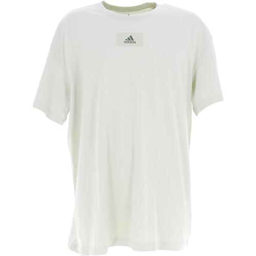 Vêtements Homme T-shirts manches courtes adidas trousers Originals M fv t Blanc