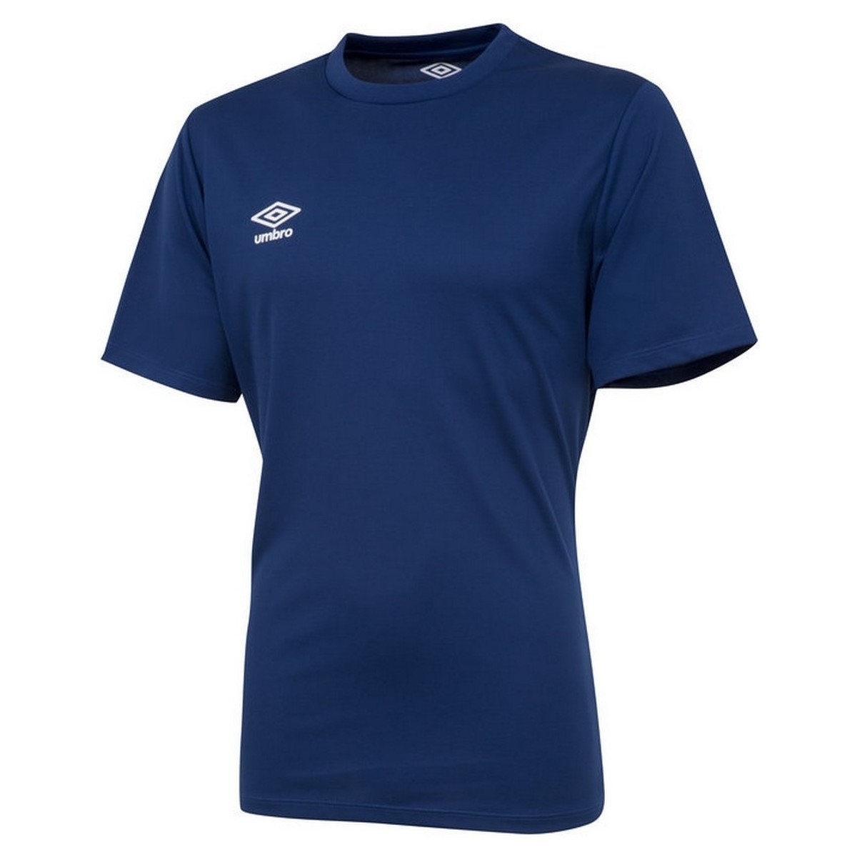Vêtements Homme T-shirts manches courtes Umbro Club Bleu