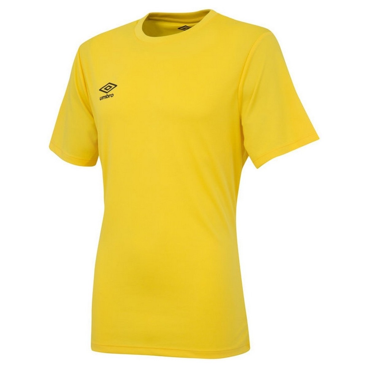 Vêtements Homme T-shirts manches courtes Umbro Club Multicolore
