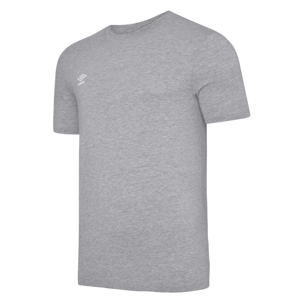 Vêtements Homme T-shirts manches longues Umbro Club Leisure Gris