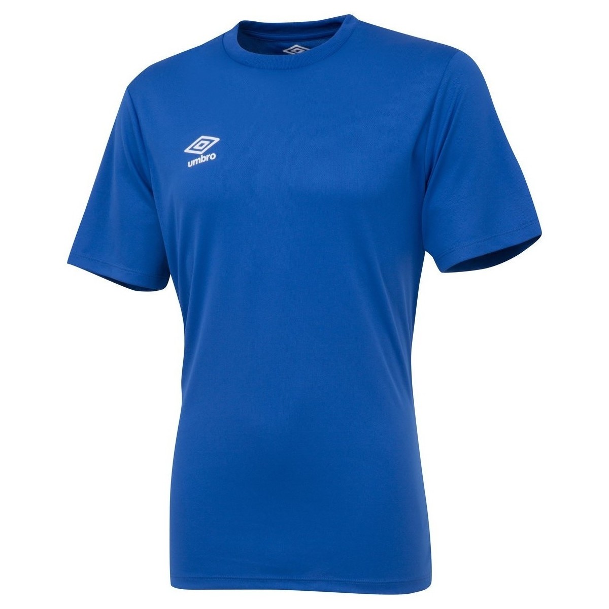 Vêtements Enfant T-shirts manches courtes Umbro UO826 Bleu