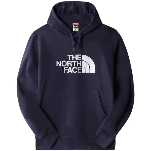 Vêtements Homme Sweats The North Face Drew Peak Hoodie - Summit Navy Bleu