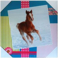 Maison & Déco Rouleau Sticker Pailleté Cadoons Cadre en toile cheval Multicolore