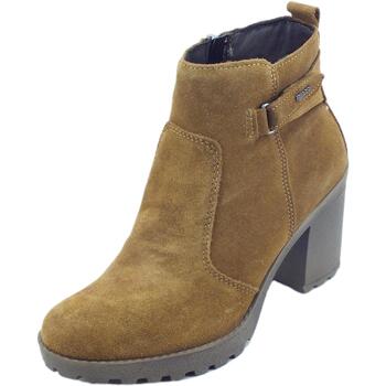 Chaussures Femme Low boots IgI&CO 2662022 Scam. Super Marron
