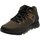 Chaussures Homme Boots Timberland Sprint Trekker Mid WP Waterproof Marron