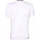 Vêtements Homme T-shirts manches courtes Kappa Maillot Bugo Blanc
