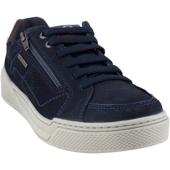 Chaussures Homme Baskets basses Pegada 119803-09 Marine