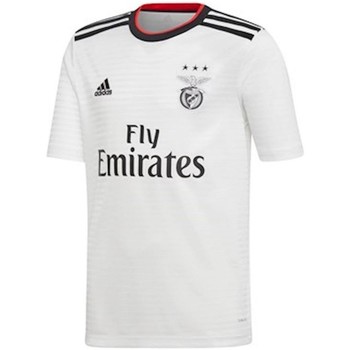 Vêtements Garçon T-shirts & Polos adidas Originals Benfica Away Shirt Blanc
