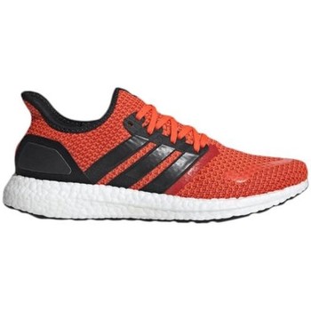 Chaussures Homme Running Consortium / trail adidas Originals Ub Sf Orange
