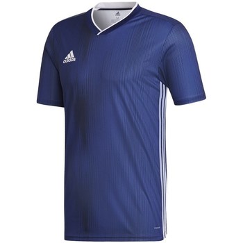 Vêtements Homme T-shirts manches courtes adidas Originals Tiro 19 Bleu