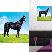 The home deco factory Tableaux / toiles Sud Trading Cadre Toile Cheval Multicolore