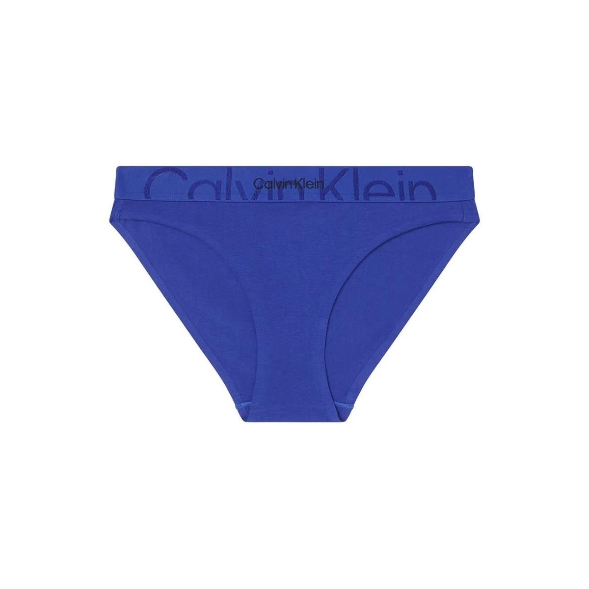 Sous-vêtements Femme Culottes & slips Calvin Klein Jeans Culotte  Ref 58632 CMB Clematis Bleu