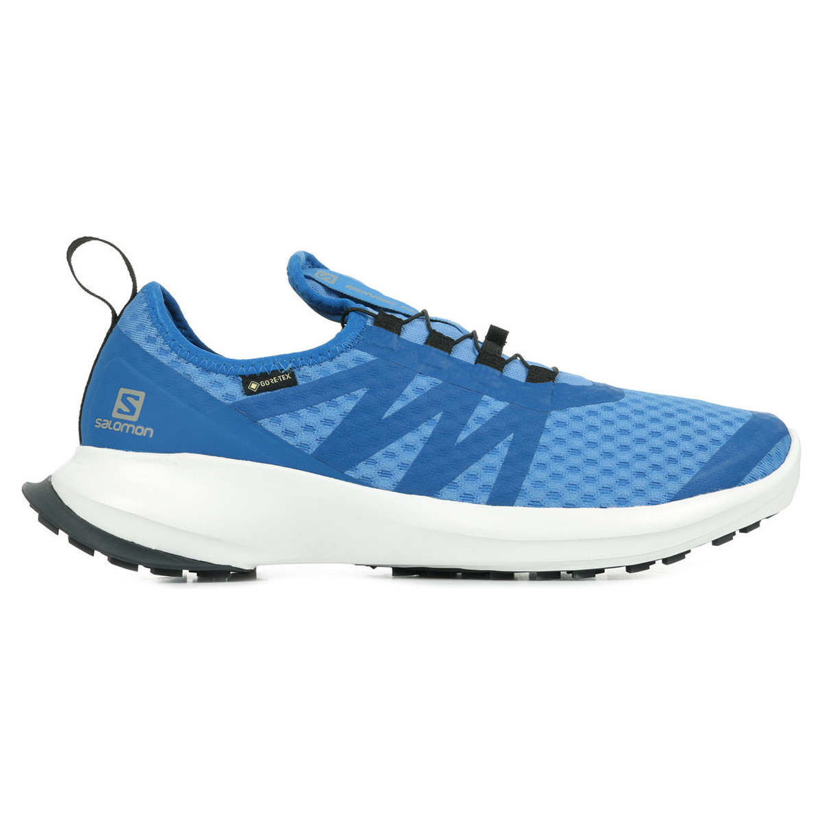 Chaussures Homme Running / trail Salomon Sense Flow 2 Gtx Bleu