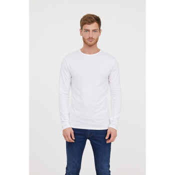 Vêtements Homme T-shirts manches courtes Lee Cooper T-shirt AREO Blanc ML Blanc