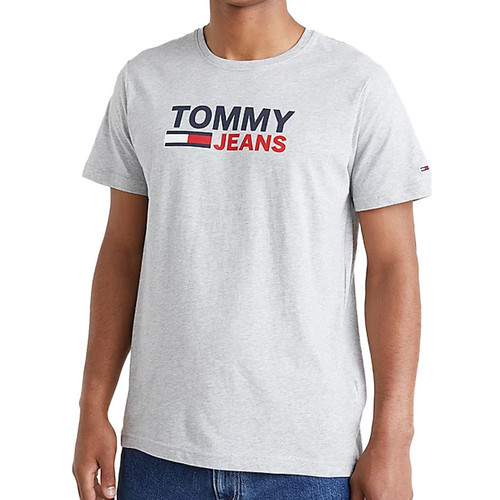 Vêtements Homme Dotted Collared Polo Shirt Tommy Hilfiger DM0DM15379 Gris
