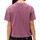 Vêtements Femme T-shirts & Polos Dickies DK0A4XBAB651 Violet