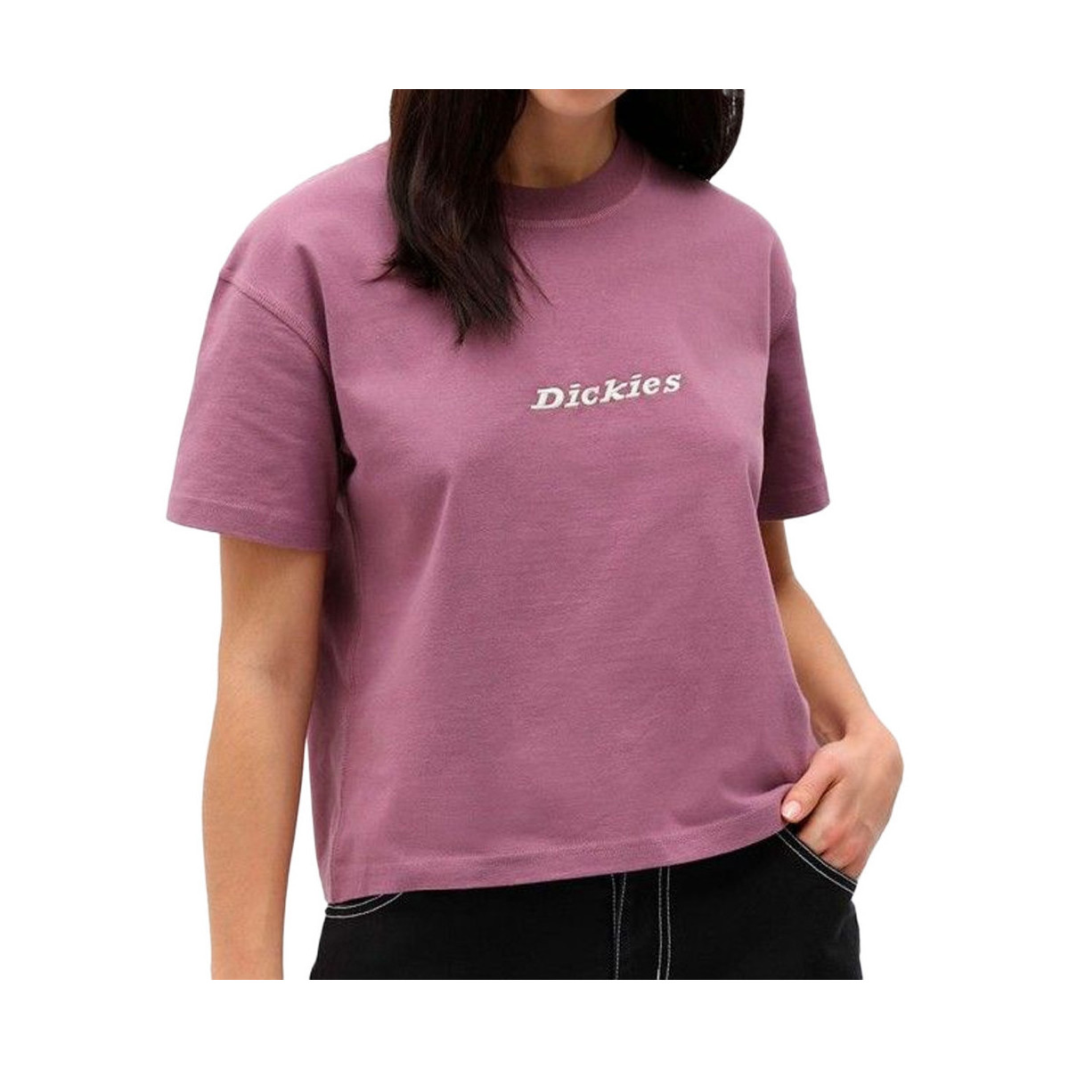 Vêtements Femme T-shirts & Polos Dickies DK0A4XBAB651 Violet