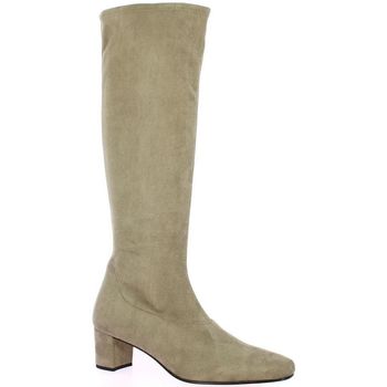 competici Femme Bottes Pao bottes stretch velours Beige
