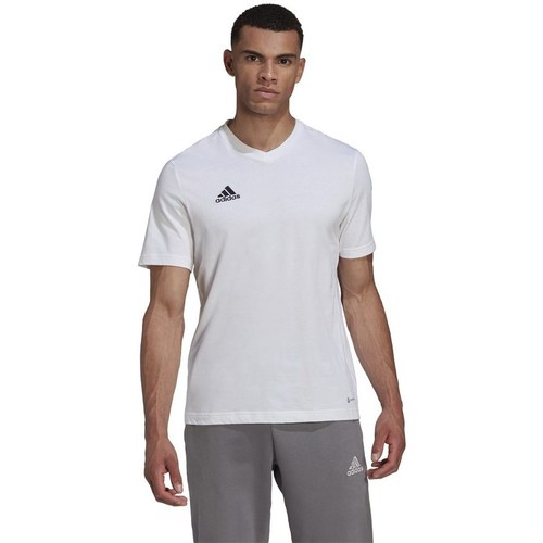 Vêtements Homme T-shirts manches courtes adidas Originals Entrada 22 Blanc