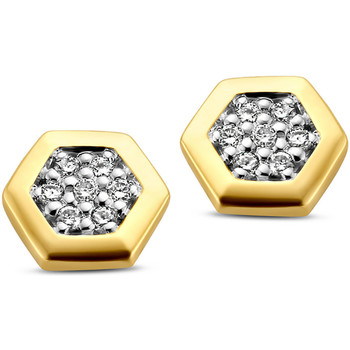 Montres & Bijoux Femme Boucles d'oreilles Brillaxis Boucles d'oreilles or jaune 18 carats diamants Jaune