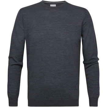 Vêtements Homme Sweats Profuomo Pull-over Laine Merinos Anthracite Gris