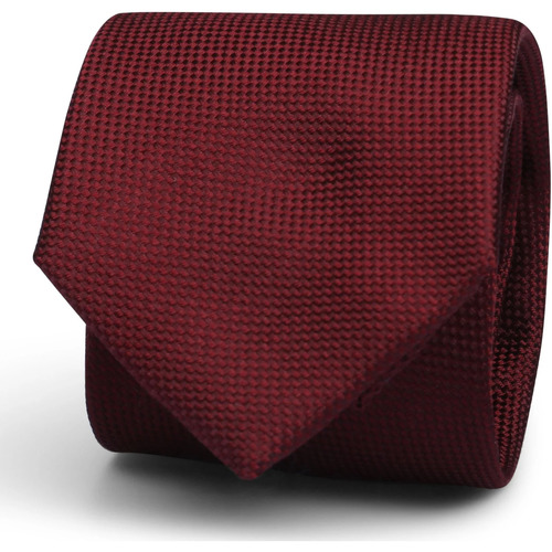 Vêtements Homme Cravates et accessoires Suitable Pochette & Cravate V-modèle Rouge