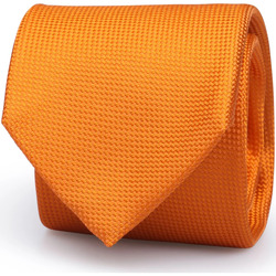 Vêtements Homme Cravates et accessoires Suitable Cravate Orange Soie Orange