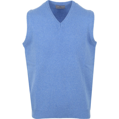 Vêtements Homme Sweats Suitable Spencer Laine Col-V Bleu Bleu