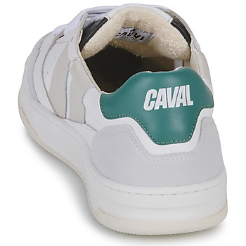 Caval FRESH LAKE Blanc / Gris / Vert