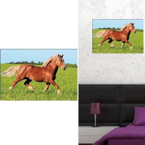 Maison & Déco Tableaux / toiles Sud Trading Tableau imprimé cheval Multicolore