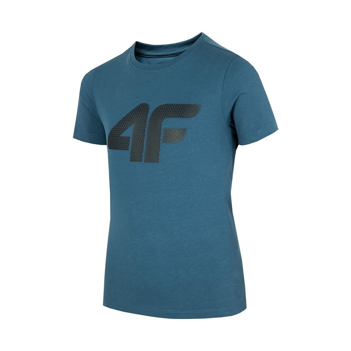 Vêtements Garçon T-shirts manches courtes 4F JTSM002 Bleu