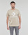 Vêtements T-shirts manches courtes Converse GO-TO STAR CHEVRON LOGO Beige