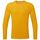 Vêtements Homme T-shirts manches courtes Ronhill Core LS Tee Orange