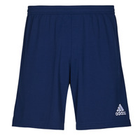 Vêtements Homme Shorts / Bermudas adidas Performance ENT22 SHO team navy blue 2
