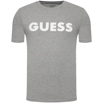 Vêtements Homme T-shirts rta manches courtes Guess Classic front logo Gris