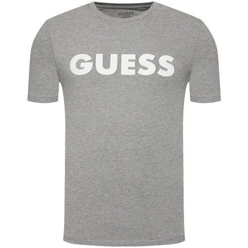 Vêtements Homme T-shirts manches courtes Guess Classic front logo Gris
