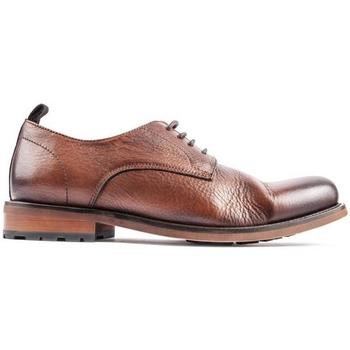 Chaussures Homme Derbies Sole Crafted Rule Derby Chaussures À Lacets Marron