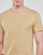 Vêtements Homme T-shirts manches courtes Teddy Smith T-NARK CHINE MC Beige