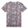 Vêtements Garçon T-shirts manches courtes Teddy Smith T-FLOWERS MC JR Multicolore